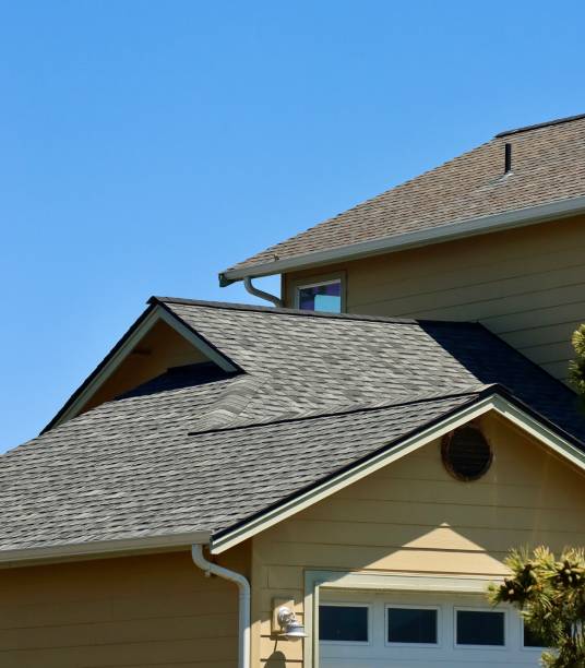 Best Gutter Installation and Repair  in Holbrook, AZ